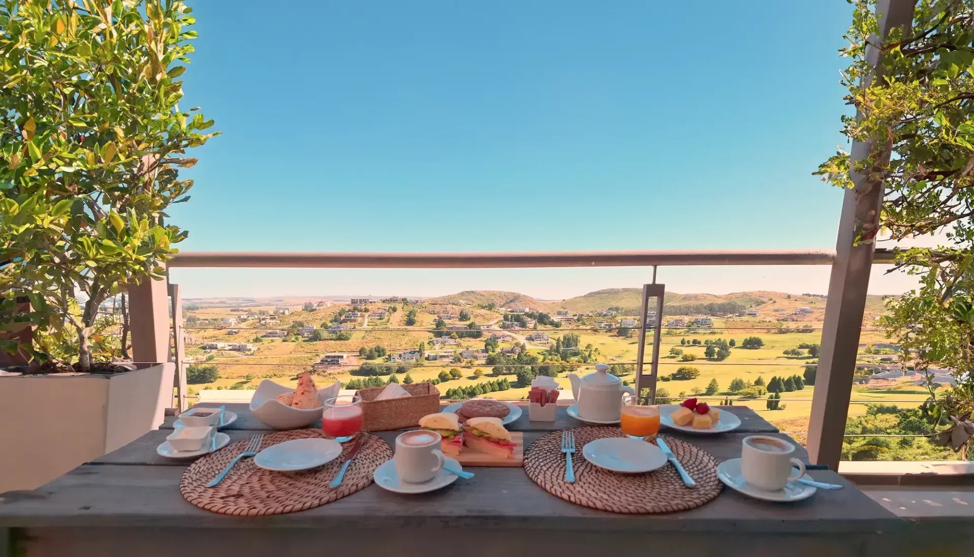 Té en Las sierras de Tandil